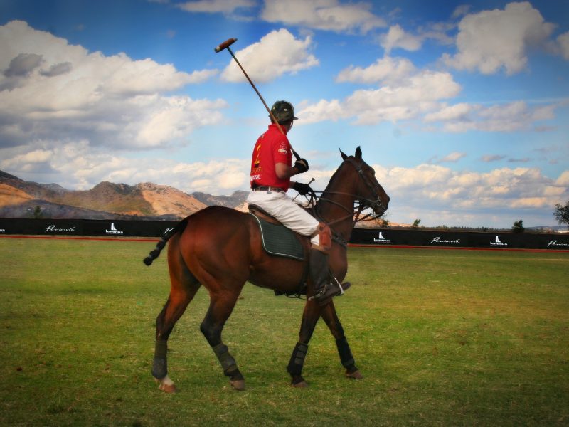 Which global millionaires loved the game of polo?